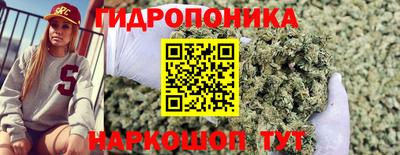 дмт Гусев