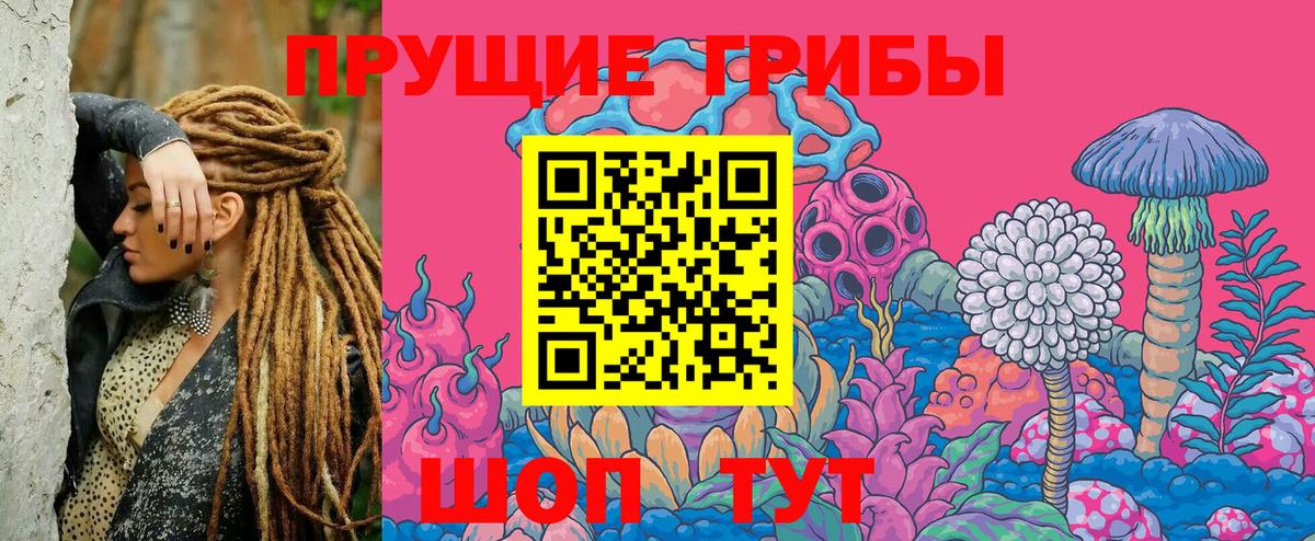 Истра  Галлюциногенные грибы Psilocybine cubensis  купить наркоту  Галлюциногенные грибы Cubensis  Вход с VPN 