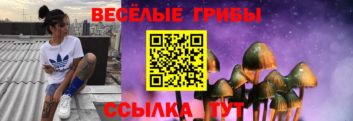 Псилоцибиновые грибы Cubensis Истра